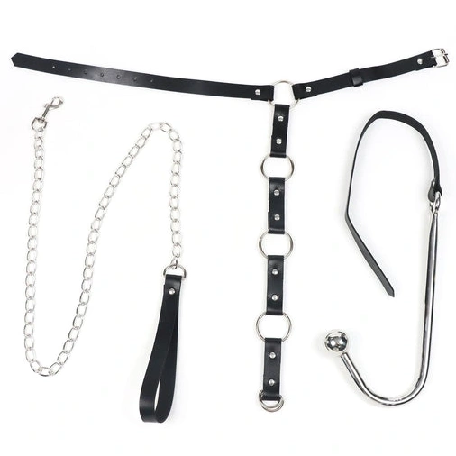 EverydayUse Hook 5853 Collar Leash Anal and Kinky with 0313